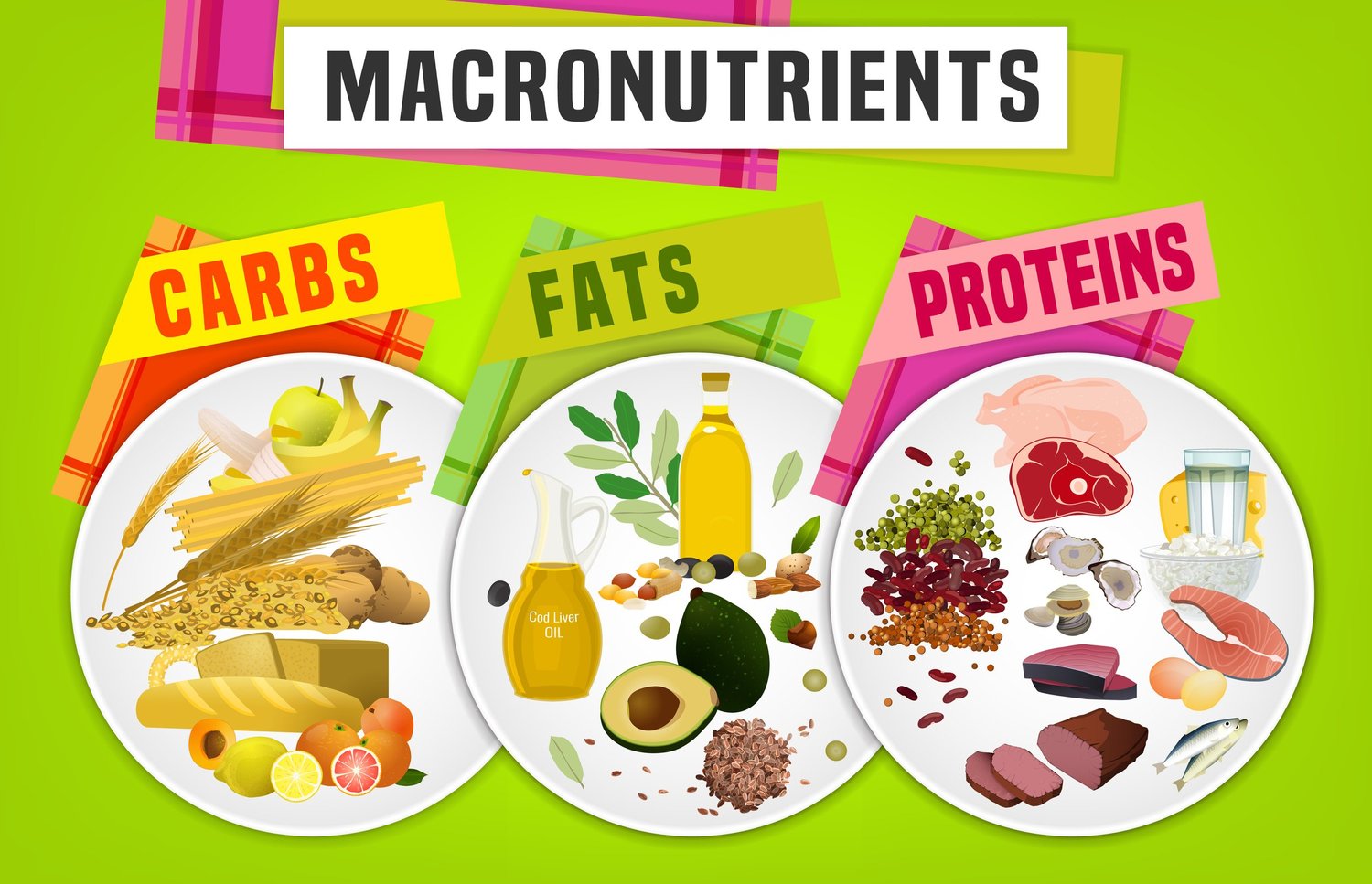 Macronutrients Understanding Fats